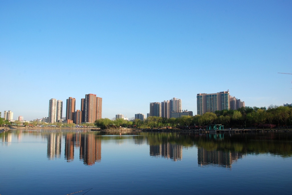 沈阳一景 摄影 刺槐林