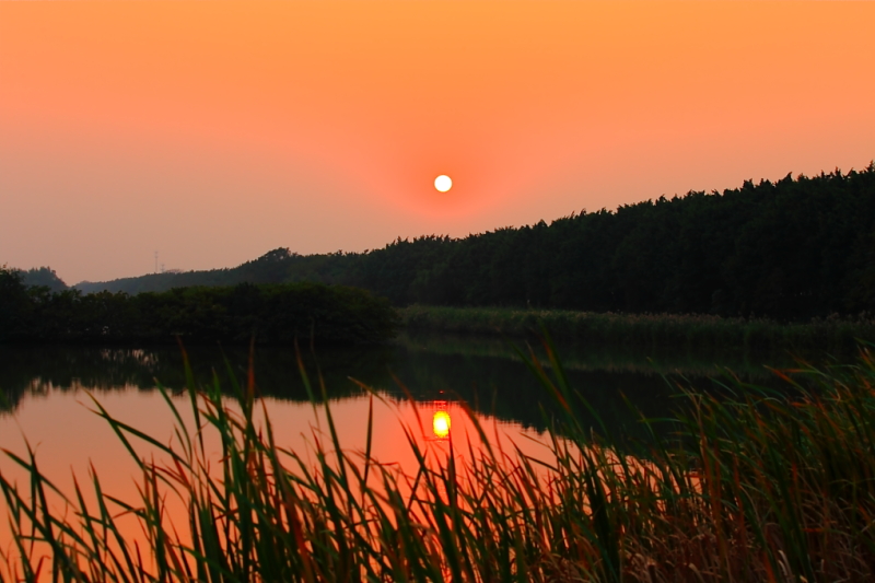 夕阳红 摄影 东方志者