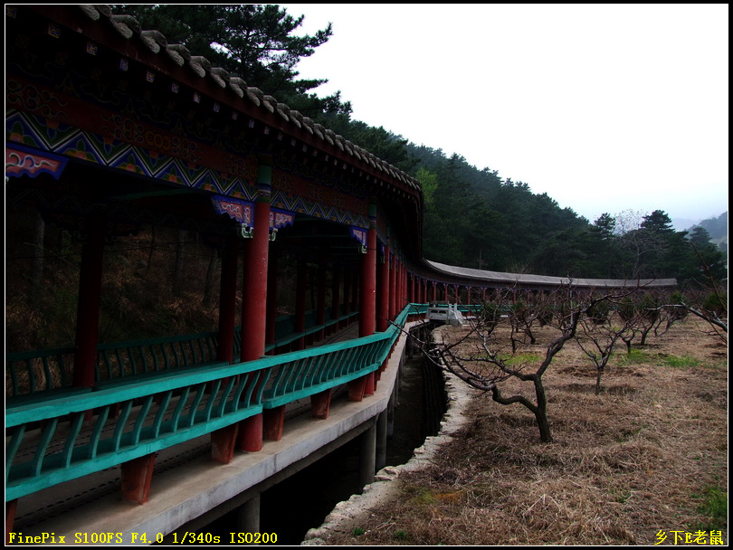 闾山大芦花风景 摄影 wxwonlines