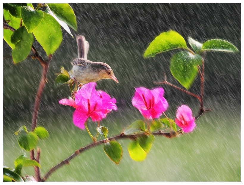 风雨阳光 摄影 走单骑