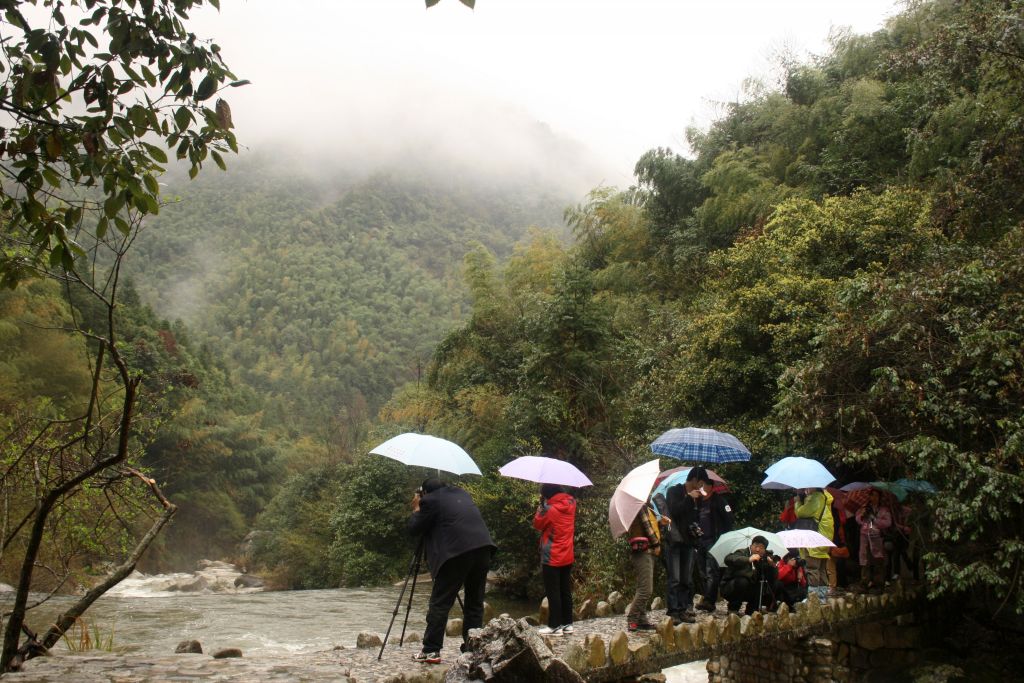 婺源风光---雨中摄 摄影 房摞房