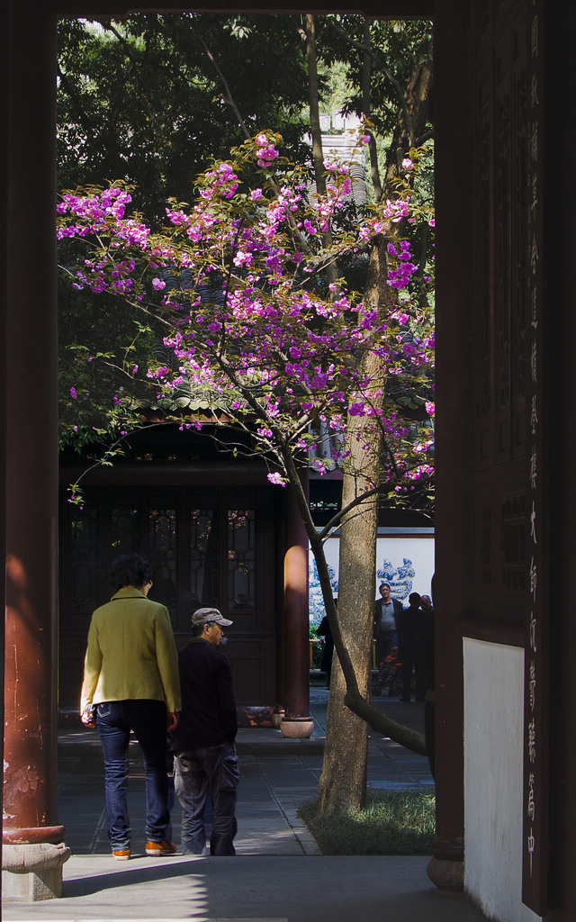 杜甫草堂一景 摄影 老士兵