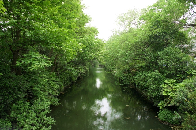 扬州护城河一景4 摄影 赶闹忙