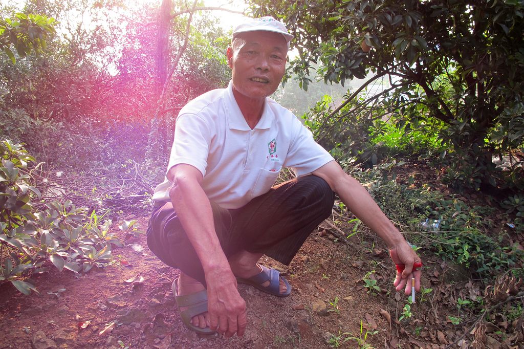 逆光下休息 摄影 西沙河