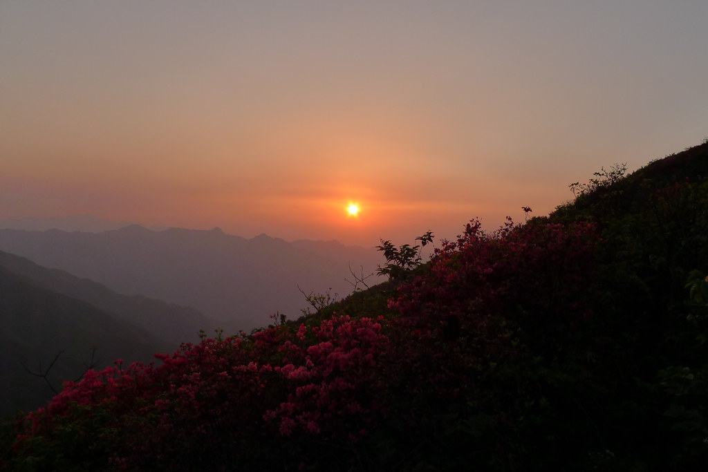 夕阳红 摄影 烂柯山