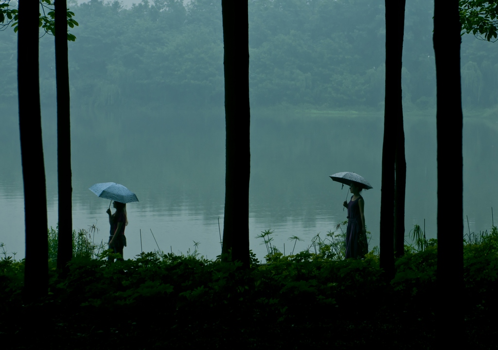 好雨知时节 摄影 爱知堂