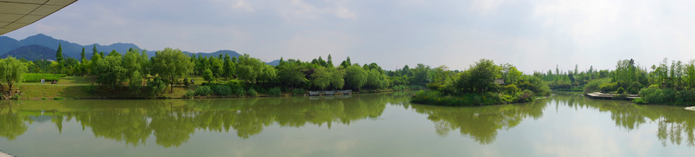 西溪湿地 摄影 文一哥