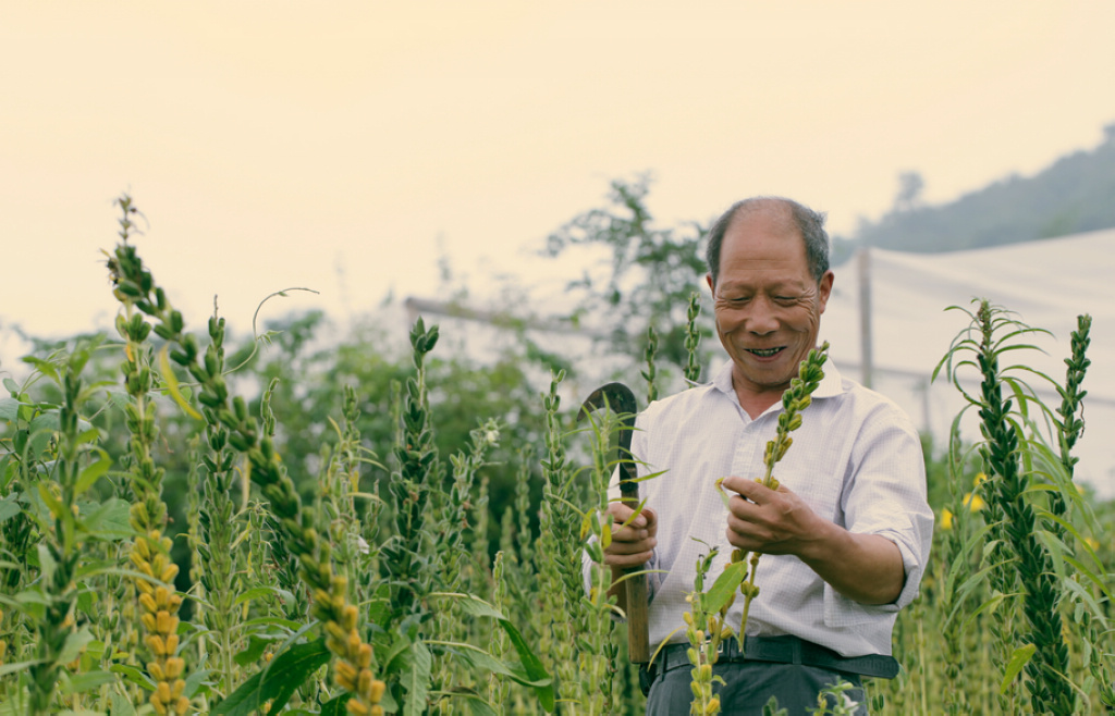 呵呵，这日子美得！ 摄影 天天好心情zh