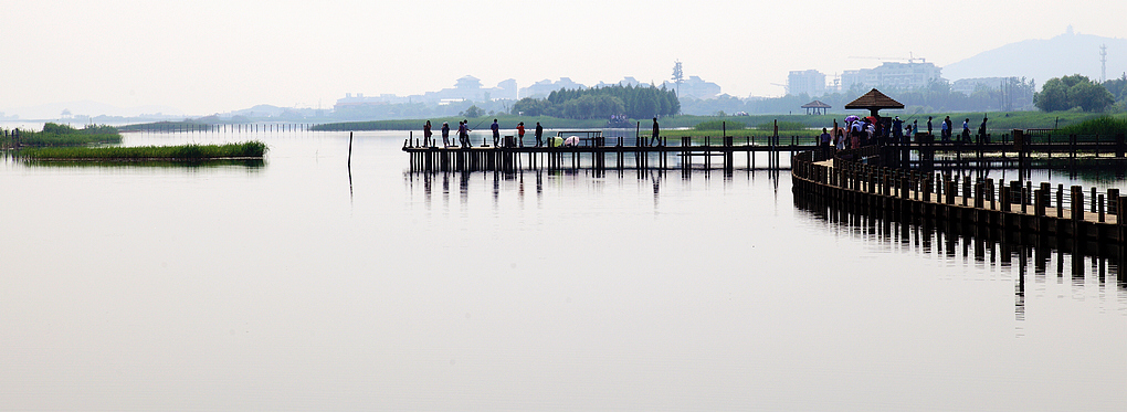 苏州太湖湿地公园一景 摄影 壹品沉香