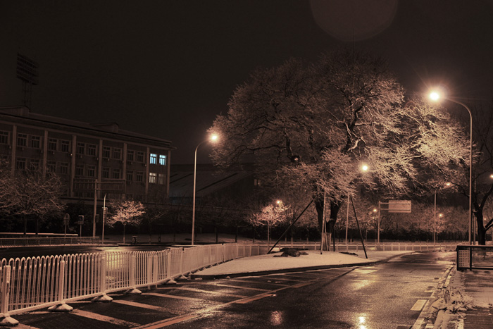 雪夜 摄影 北京杰克