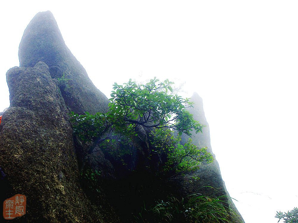 黄山合掌峰 摄影 静趣斋