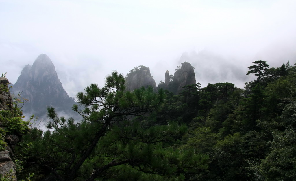 黄山印象（4） 摄影 沧海一粟548