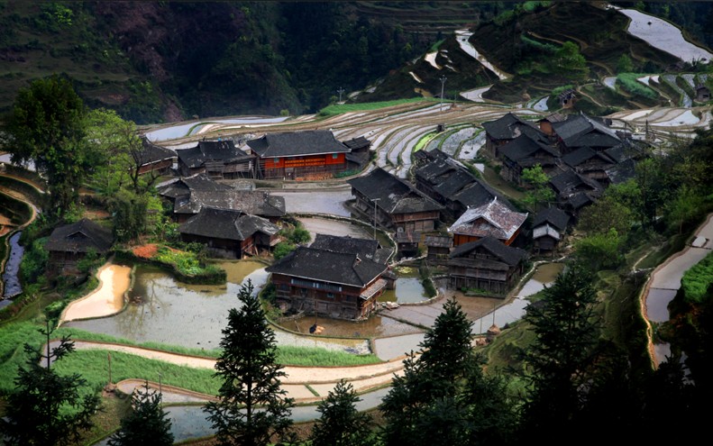 水中天堂 摄影 邱太建