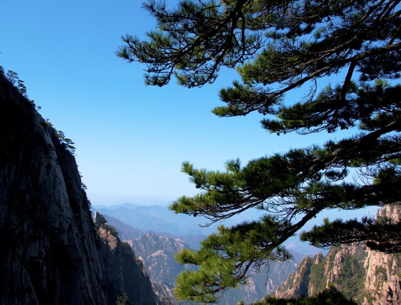 黄山风光 摄影 天净沙nj