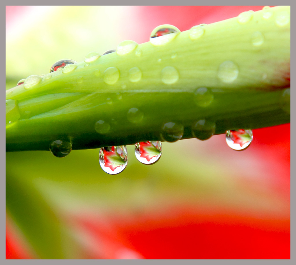 雨后 摄影 米汤糊