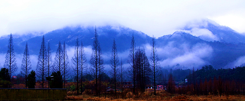 黄山冬景 摄影 杨老根