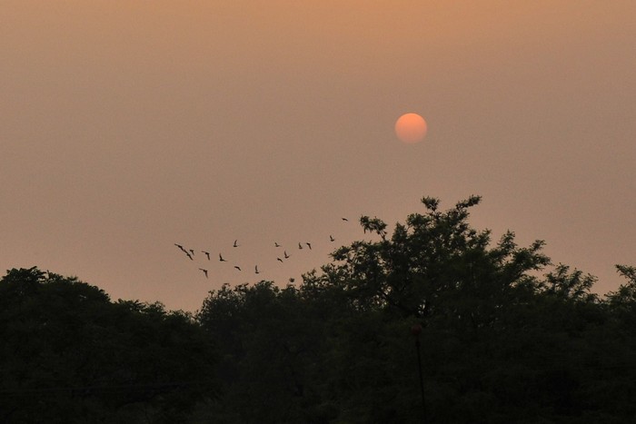 夕阳 摄影 北京杰克