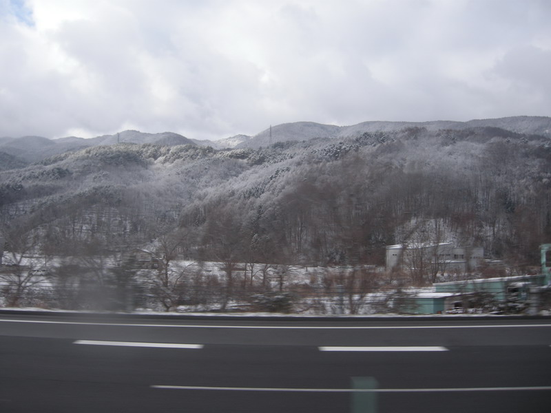 日本的雪景 摄影 样样新