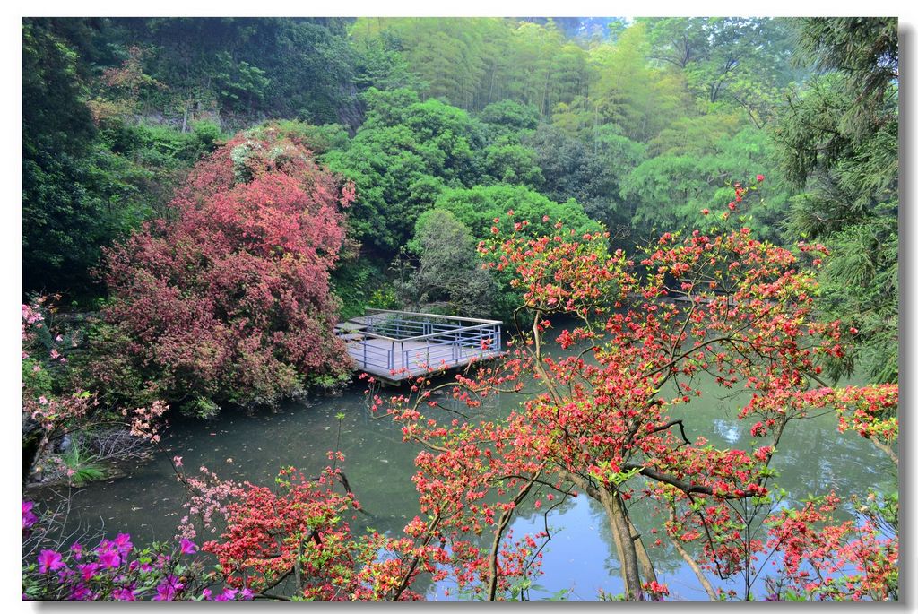 浙江莫干山风景区 摄影 yjp1963