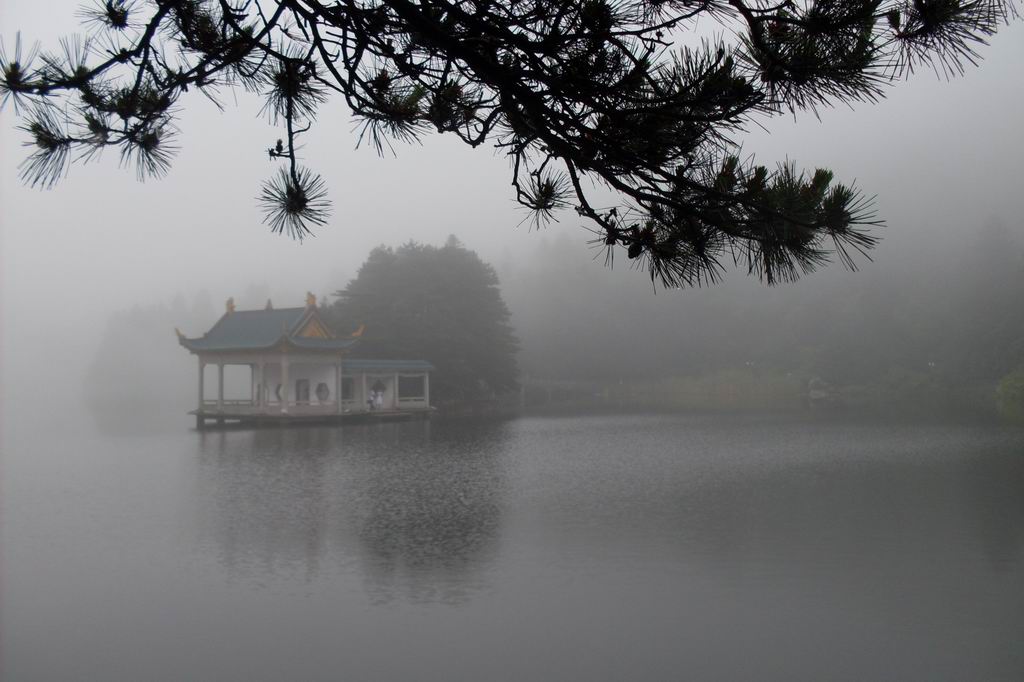 雨季 摄影 秋天的黄叶