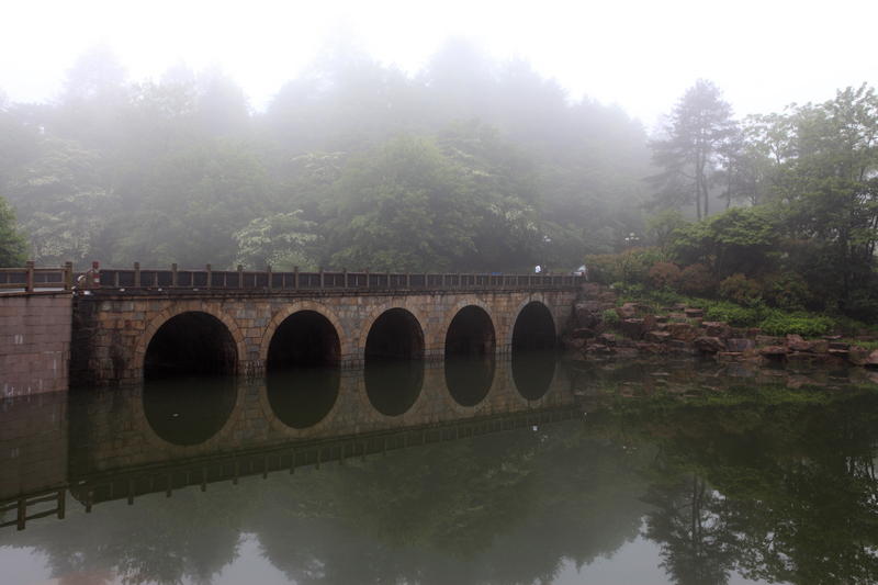 雾锁九华山 摄影 路山官桥