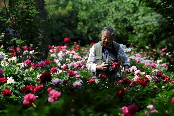 拍花的老先生 摄影 逐日追风