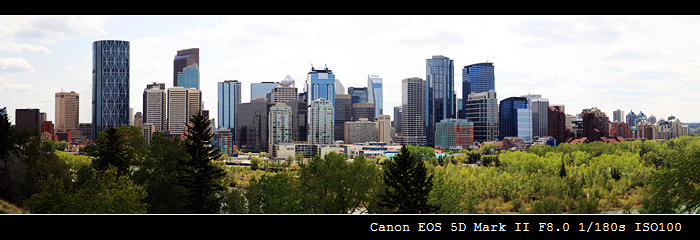 CALGARY DOWNTOWN 摄影 卡城牛仔