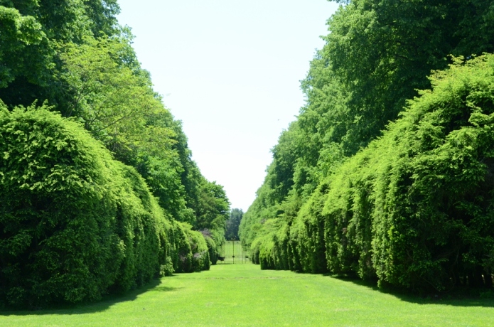 old westbury gardens 纽约 摄影 老马嘶风