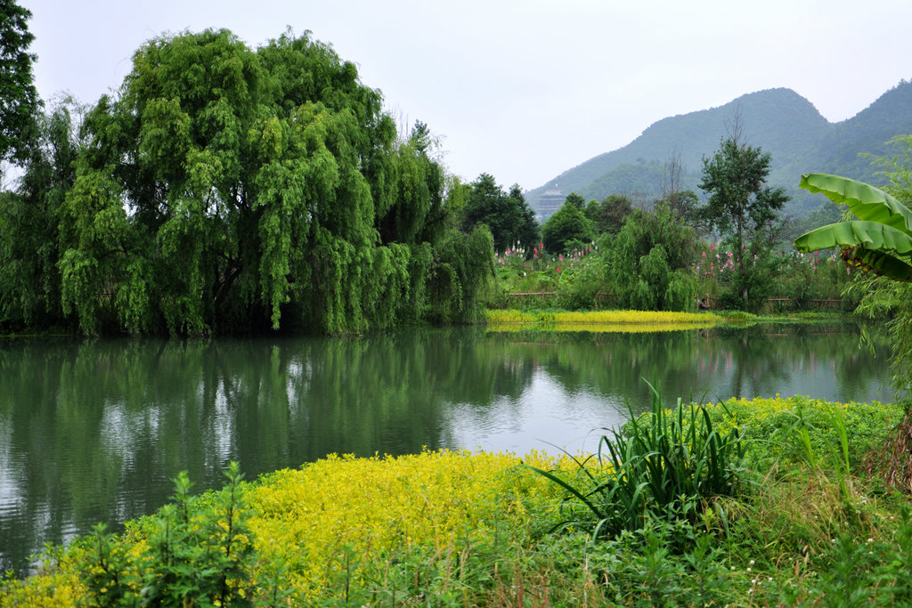 花溪湿地公园 摄影 简简单单JQS