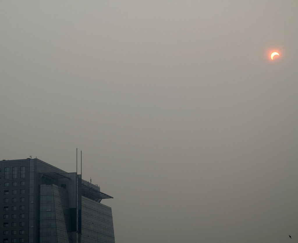 太阳、房子、鸟 摄影 南通人