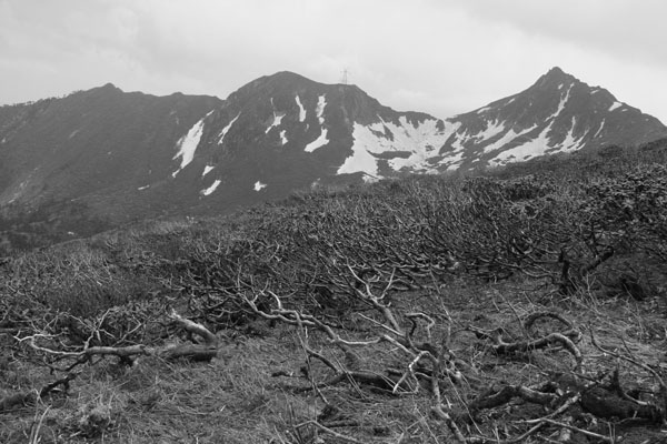 五月，碧罗雪山风光1 摄影 霞衣