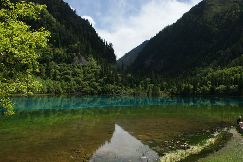 九寨沟 摄影 英子的秋天