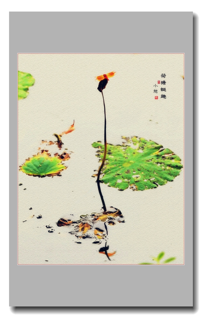 荷塘蜓趣 摄影 玄9.