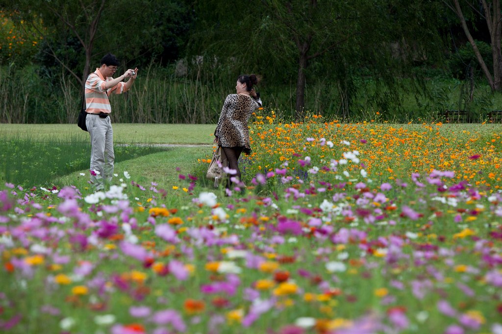 花世界 2012（067） 摄影 满世界