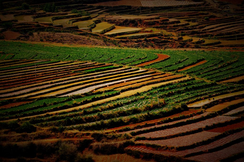 红土地 摄影 yanxiaohua