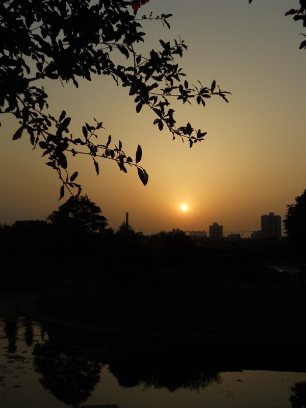 初夏夕阳 摄影 李引刚