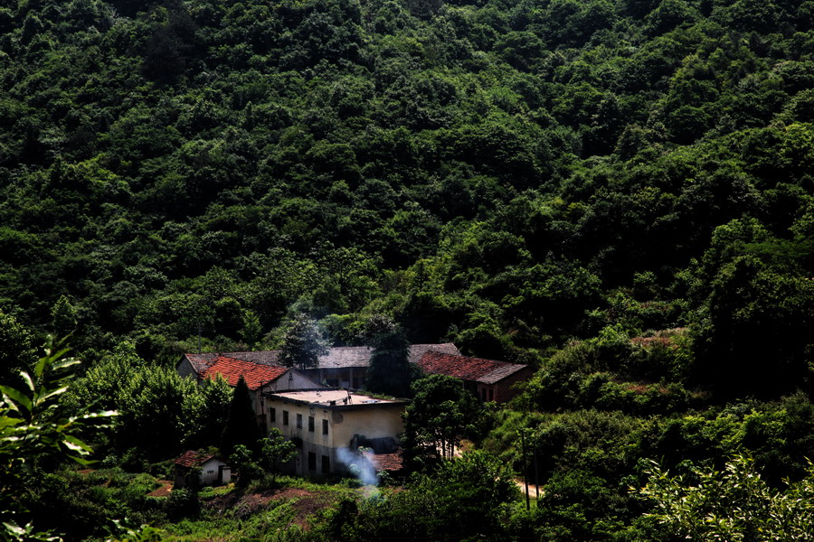 大别山深处（全寨县境内） 摄影 沧海一粟548