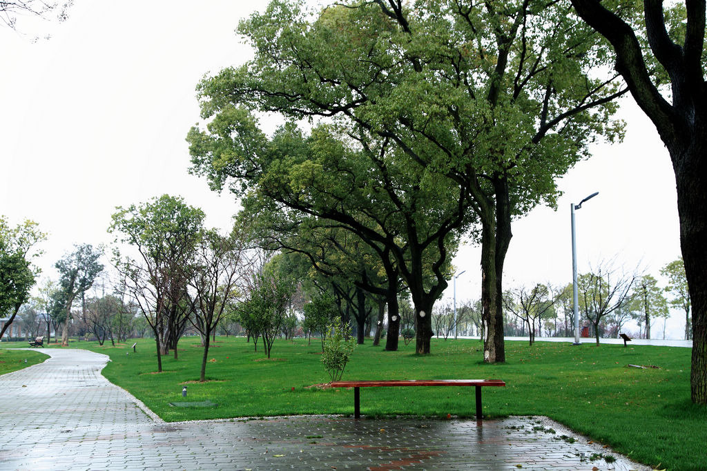 细雨橘子洲 摄影 天天好心情zh