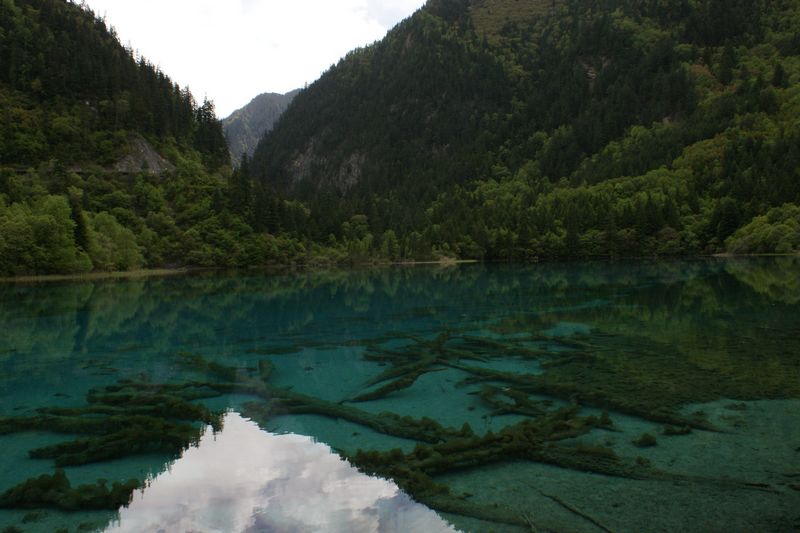 九寨沟 摄影 英子的秋天