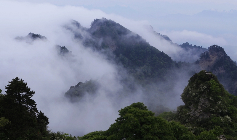 水墨青山 摄影 七月虎