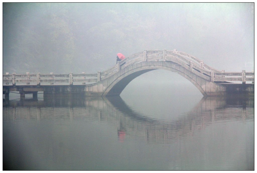 雨中情 摄影 叶儿飘飘