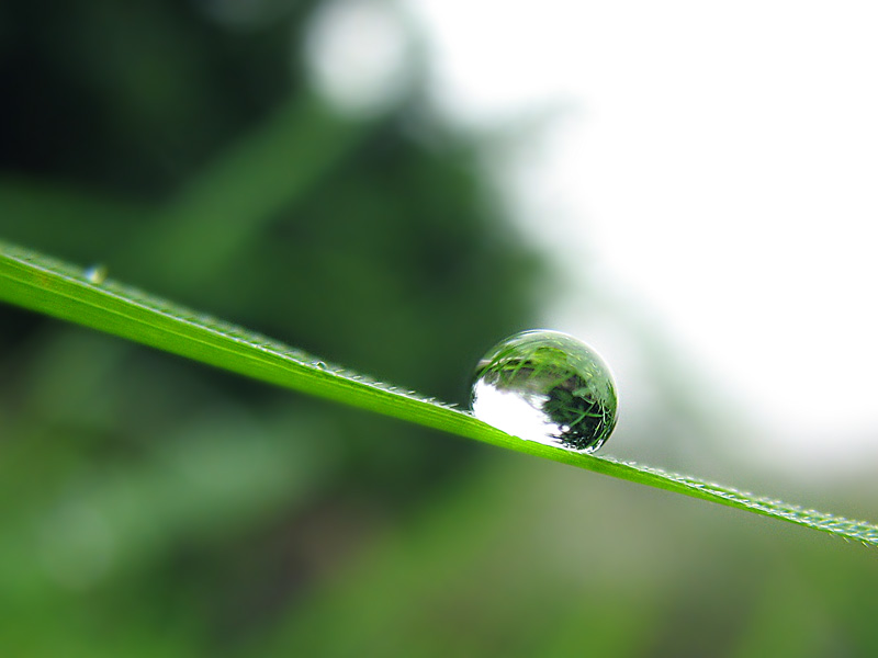 我是一滴水 摄影 新太阳系