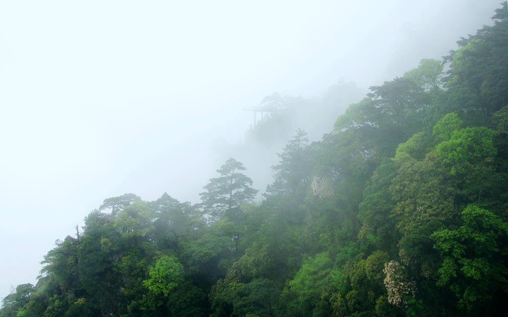 井冈山风光--笔架山 摄影 寒心