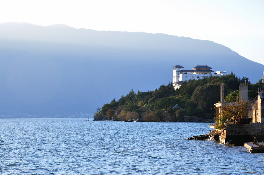 洱海 摄影 夹子树