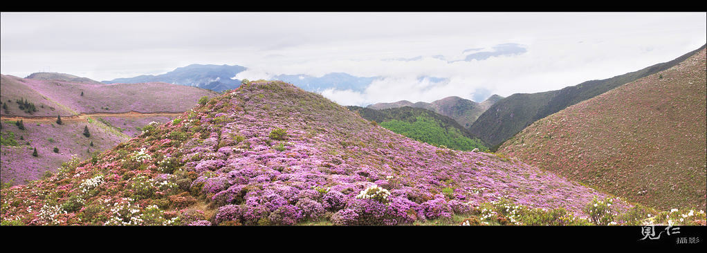 满山遍野 摄影 觅仁