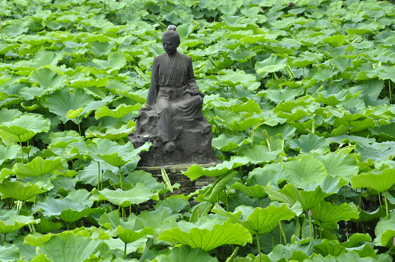 爱莲第一人——周敦颐（童年） 摄影 荷叶澄露