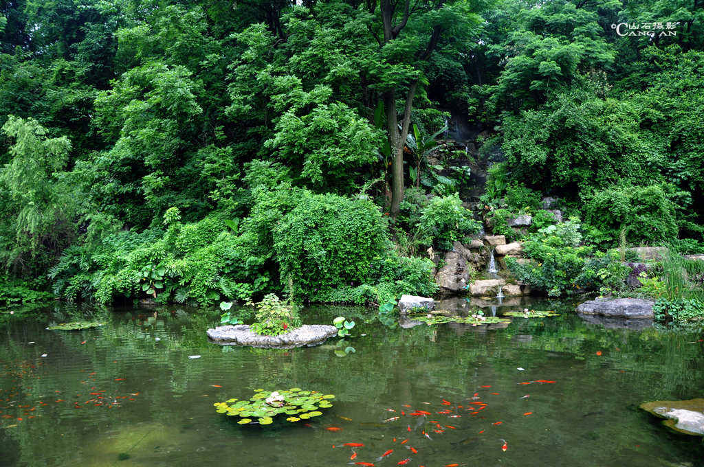 桂林市区景观印象【植物园2】 摄影 长安山石