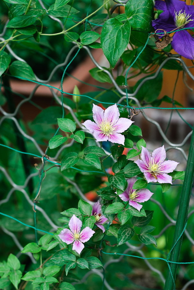 美的节点 摄影 苗思