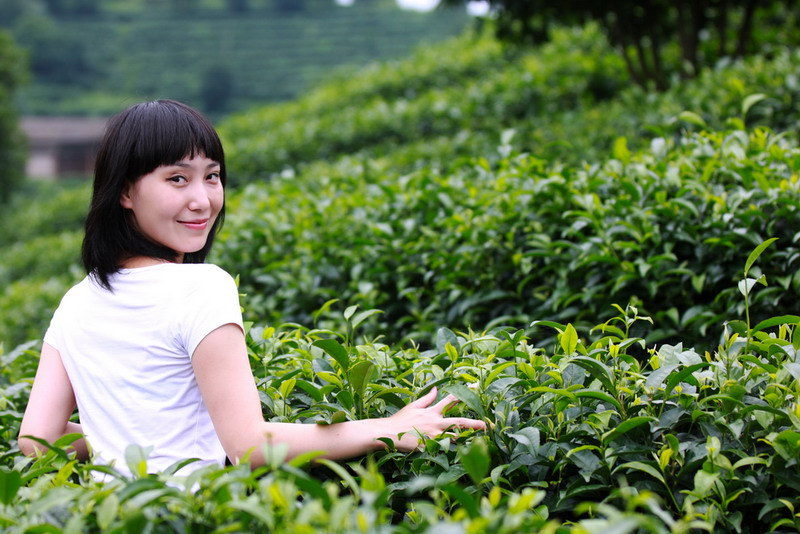 茶之精灵 摄影 品味人生9598