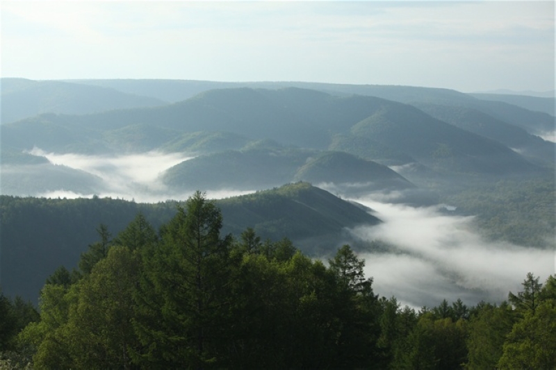 阿尔山 摄影 土拉喀